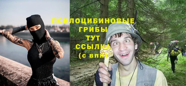 твердый Алзамай