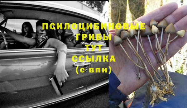 СК Алексеевка