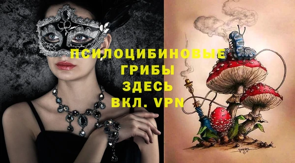 твердый Алзамай