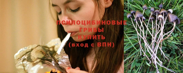 СК Алексеевка