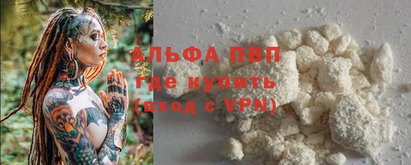 твердый Алзамай