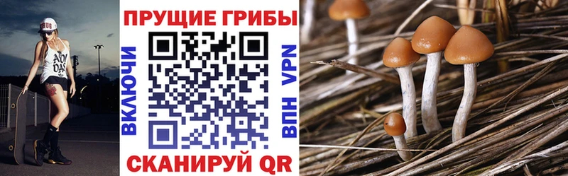 Галлюциногенные грибы ЛСД  магазин продажи   Цимлянск 