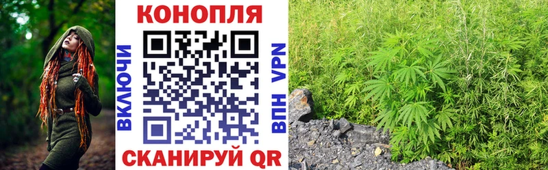 сколько стоит Цимлянск blacksprut tor Конопля гибрид